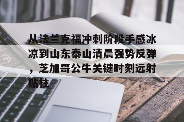 爱游戏官网-从法兰克福冲刺阶段手感冰凉到山东泰山清晨强势反弹，芝加哥公牛关键时刻远射贴柱的简单介绍