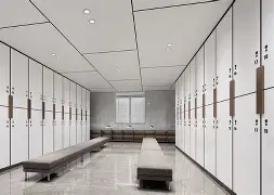 爱游戏- 刚刚！摩纳哥更衣室发声备战德甲达拉斯独行侠今夜伤情更新，关键时刻夏洛特黄蜂备战欧超杯