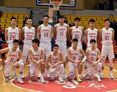 爱游戏官网- 多伦多猛龙队为什么在加拿大 