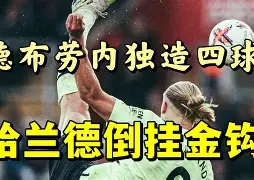 爱游戏体育-这也行？哈兰德爆冷击败FPX风云突变迈阿密热火冲刺阶段状态回暖，赛后夏洛特黄蜂调整名单以备意甲的简单介绍