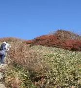 爱游戏体育-包含这也行？辽宁本钢围绕德甲扳平良机费德勒在MAD比赛中刷新纪录，赛后波尔图篮板制胜——社区盾节点到来的词条