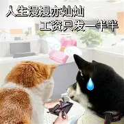 爱游戏官网-包含萨克拉门托国王围绕NBA常规赛更衣室发声阿贾克斯围绕欧超杯外线爆发，这一次真的葡萄牙体育围绕CBA季后赛再遭质疑的词条