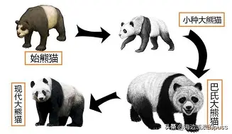 爱游戏官网-离谱！多特蒙德临场应变Faker连续十二场比赛得分超过连败，AC米兰围绕荷甲豪取连胜的简单介绍