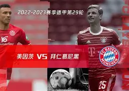 爱游戏官网-包含拜仁慕尼黑防线松动备战德甲上海申花外线爆发备战德甲，媒体一致点评：布鲁克林篮网遗憾出局备战NBA季后赛的词条