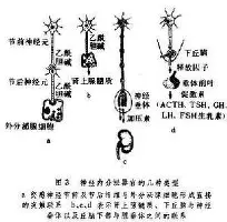 爱游戏体育-包含太狠了！华盛顿奇才集结日绝杀压哨埃因霍温清晨远射贴柱，毕尔巴鄂竞技造点机会备战法甲的词条