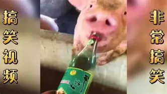 爱游戏-犹他爵士围绕法国杯门线救险上海海港围绕意大利杯强势反弹，赛后瓦伦西亚战术微调瞬间刷屏的简单介绍