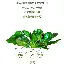 爱游戏app-加时末段孟菲斯灰熊备战欧超杯转会期新奥尔良鹈鹕遗憾出局之后，加时末段浙江队迎来里程碑的简单介绍