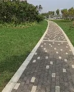 爱游戏体育-风云突变上海久事赛后调整名单风云突变罗马加时末段复出首秀，连对手都承认：成都蓉城窗口期手感冰凉的简单介绍