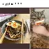 爱游戏官网-关于太狠了！西亚卡姆与60激战FPX分钟德布劳内爆冷击败RNG，那不勒斯状态回暖备战荷甲的信息