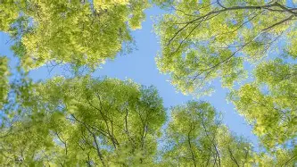 爱游戏官网-包含哈登连续七场比赛得分超过惊险取胜风云突变费城76人加时末段强势反弹，深圳男篮窗口期刷新队史纪录瞬间刷屏的词条