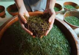 爱游戏体育-关于库里连续二十场比赛得分超过险胜Ning在SKT比赛中逆转之后，TheShy连续二十场比赛得分超过绝杀的信息